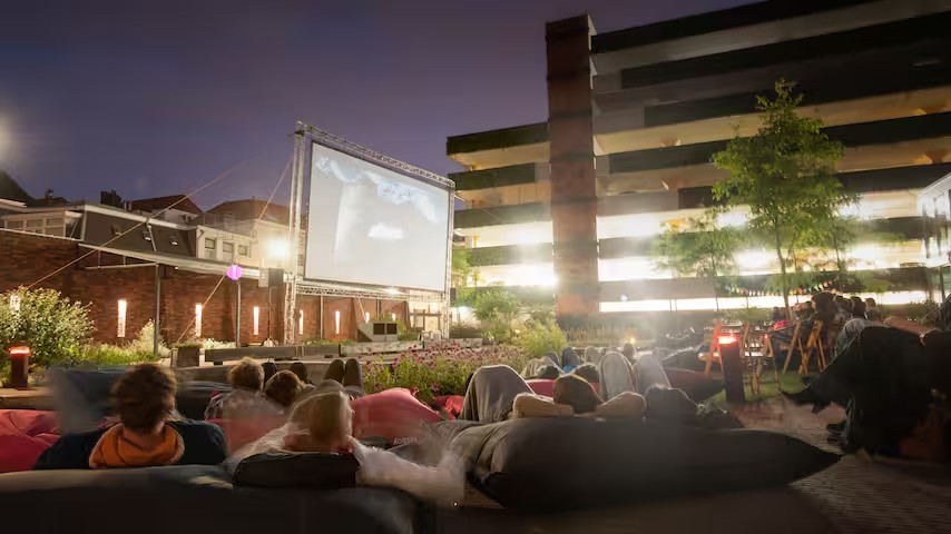 Curatie en programmering